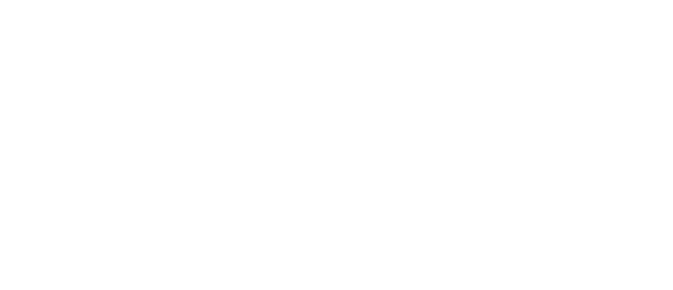 Logo Emanoely Zimmermann