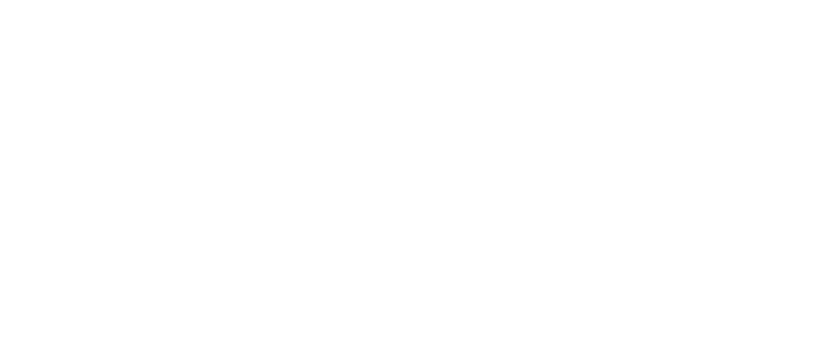 Logo Max